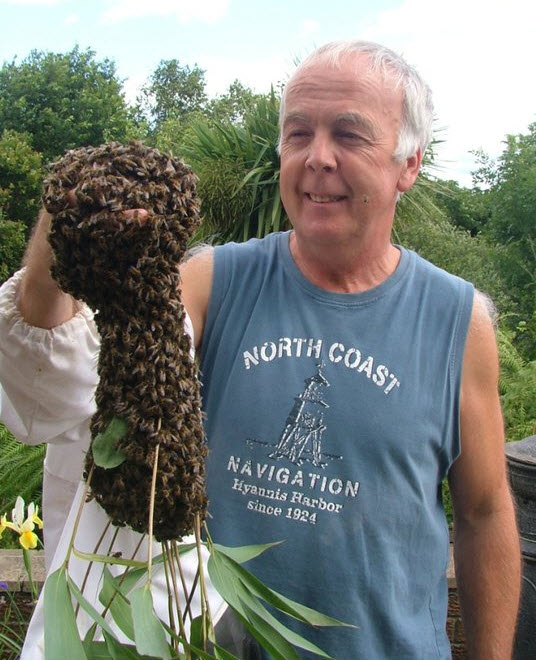 Friendly bees